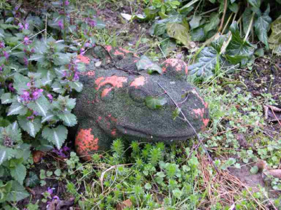 K-Frosch.jpg