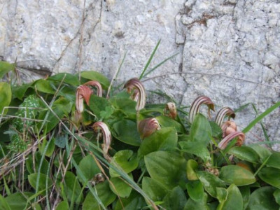 DSCF6093.jpg