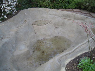 teich_wasser_9755.jpg