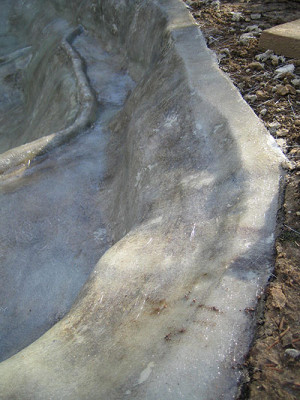 teich_gfk__9766.jpg