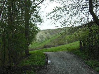 Schone_Aussicht.jpg