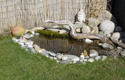 teich03.08..jpg