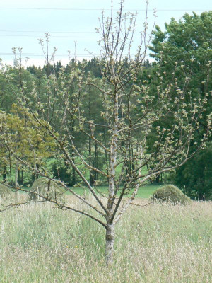 P1120125.JPG