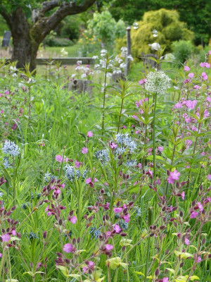 2022-05-29 Gartenimpressionen 2.jpg