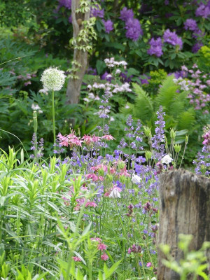 2022-05-29 Gartenimpressionen 4.jpg