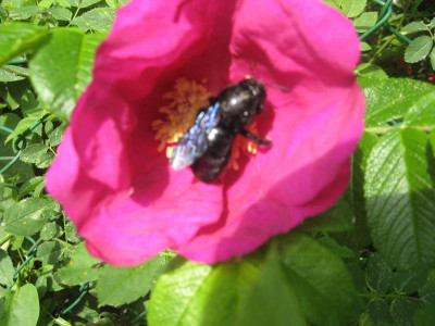 IMG_7830.JPG