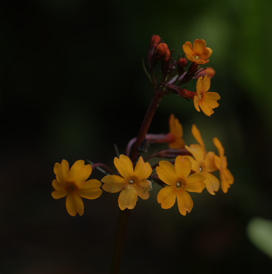 DSC_5202_DxO.jpg