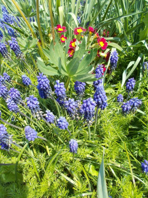 DSCN3941_Allerlei.jpg