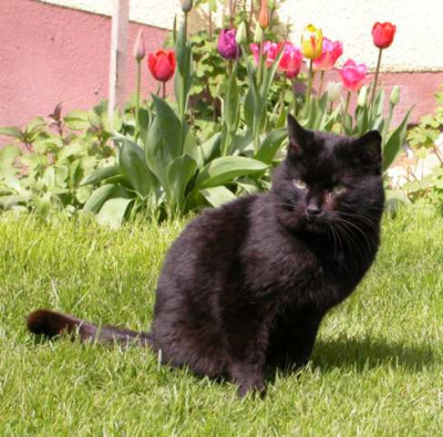 Blacky17-04.jpg