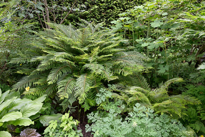 Bevis-und-Green-Lace-Mai3022_012_00001.jpg