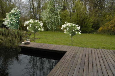 H-Montage-SW-Piemont.jpg
