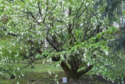 DSCF1028.jpg