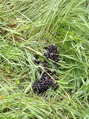 20220601_173529.jpg