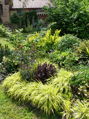 2022-05-31 Birkenhain Berberis 1.jpg