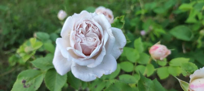 IMG_20220601_202953.jpg
