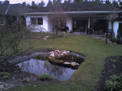 gartenausschnitt.jpg