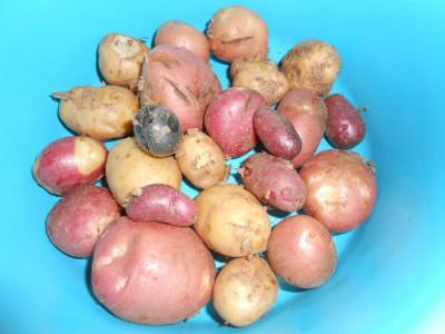 DSCN4193.JPG