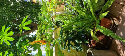 20220604_121729.jpg