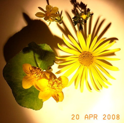 Licht_und_Schatten.JPG
