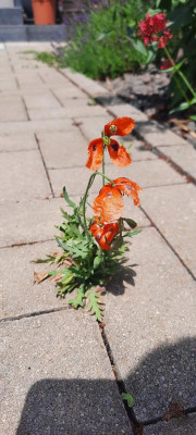 20220605_123934.jpg