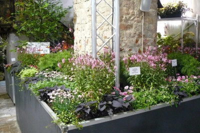 Landesgartenschau Beelitz 2023 376.jpg