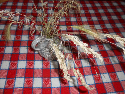 DSCN4208.JPG