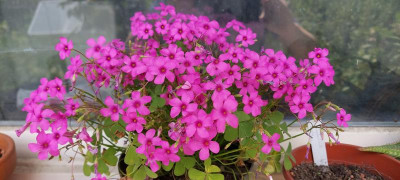 20220525_123002.jpg