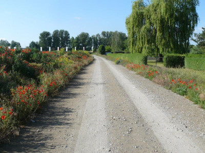 Landesgartenschau Beelitz 2022.jpg