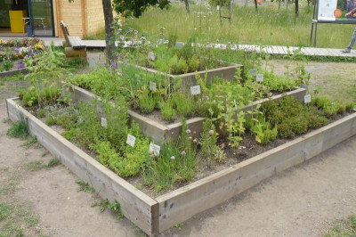 Landesgartenschau Beelitz 2022 339.jpg
