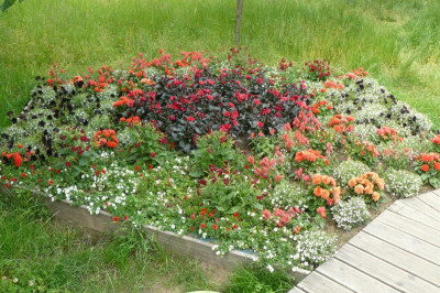 Landesgartenschau Beelitz 2022 345.jpg