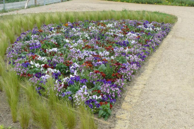 Landesgartenschau Beelitz 2022 358.jpg