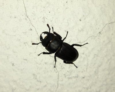 20220606_214110.jpg