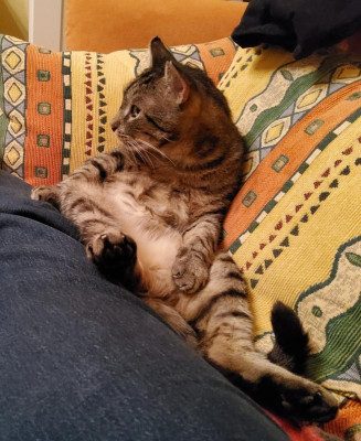 Bobo 4.jpg