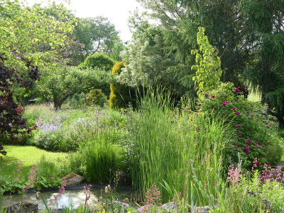 2022-06-07 Gartenimpressionen 1.jpg
