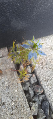 20220608_141839.jpg