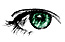 auge.jpg