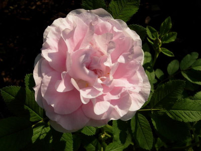 R-Martin-Frobisher-070624-0044.jpg