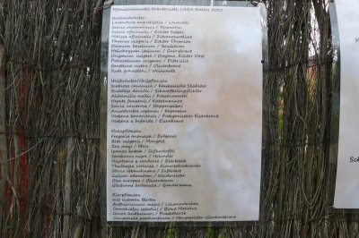 Offene Gärten 4121.jpg