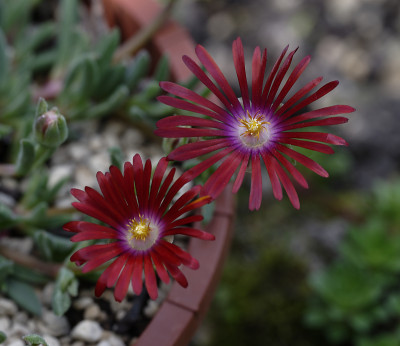 DSC_5294_DxO.jpg