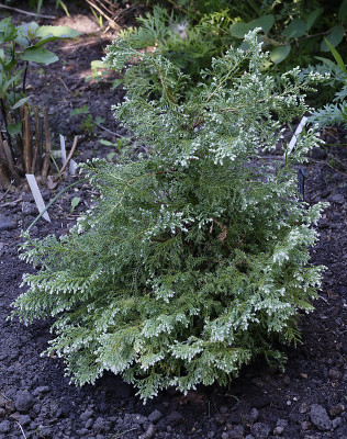 DSC_5320_DxO.jpg