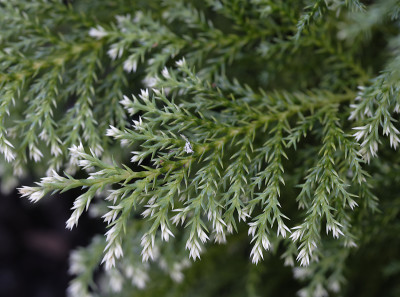 DSC_5312_DxO.jpg