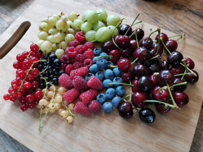 Beeren Pfingstmontag.jpeg