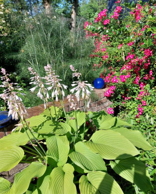 20220612_095217.jpg