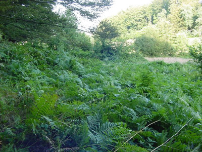 kreuzwegwiesen2015b.JPG