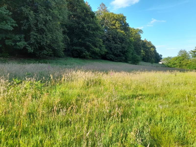 kreuzweg22.jpg