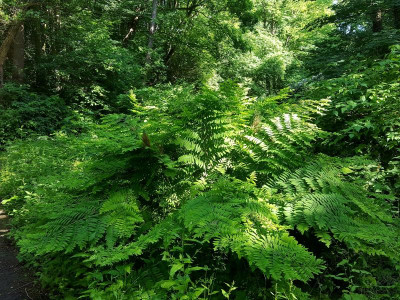 20220611_095626.jpg