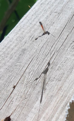 20220613_132436.jpg