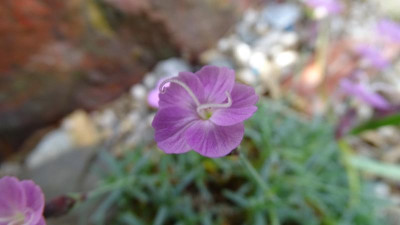 DSC03073.JPG