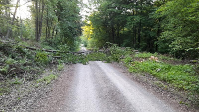 IMG-20220614-WA0007.jpeg