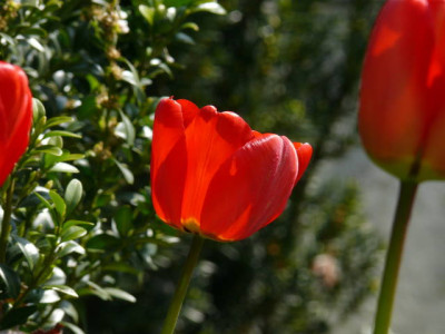 P1100460.jpg